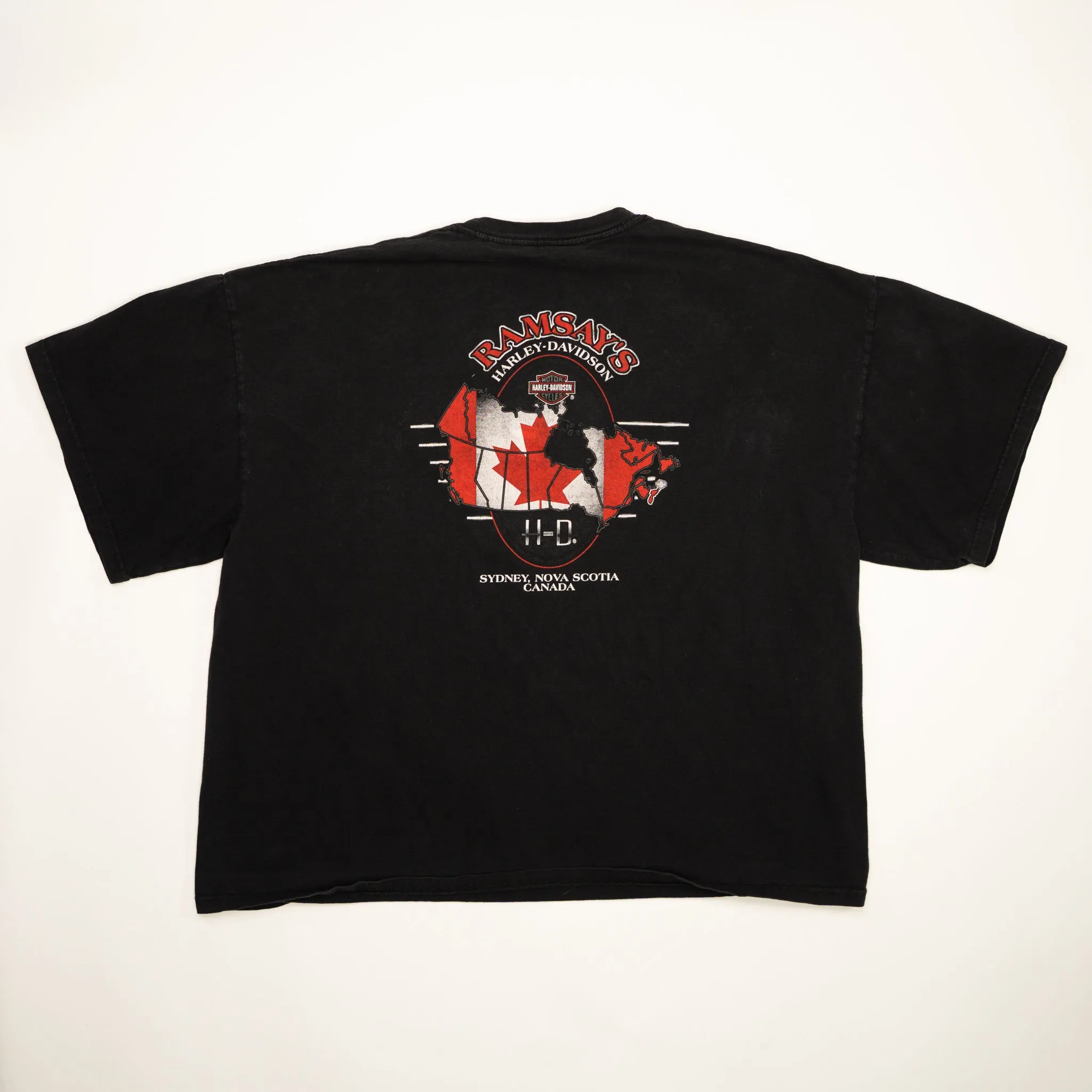 Vintage '02 Harley Davidson Northern Thunder Tee (XL/XXL)